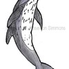 pantopical spotted dolphin